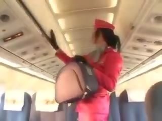Enchanting stjuardesë duke thithur manhood para cunnilingus