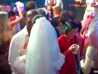 Hot oversexed brides suck big cocks in publik